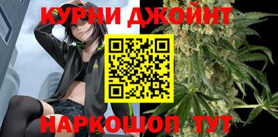 сатива Обь