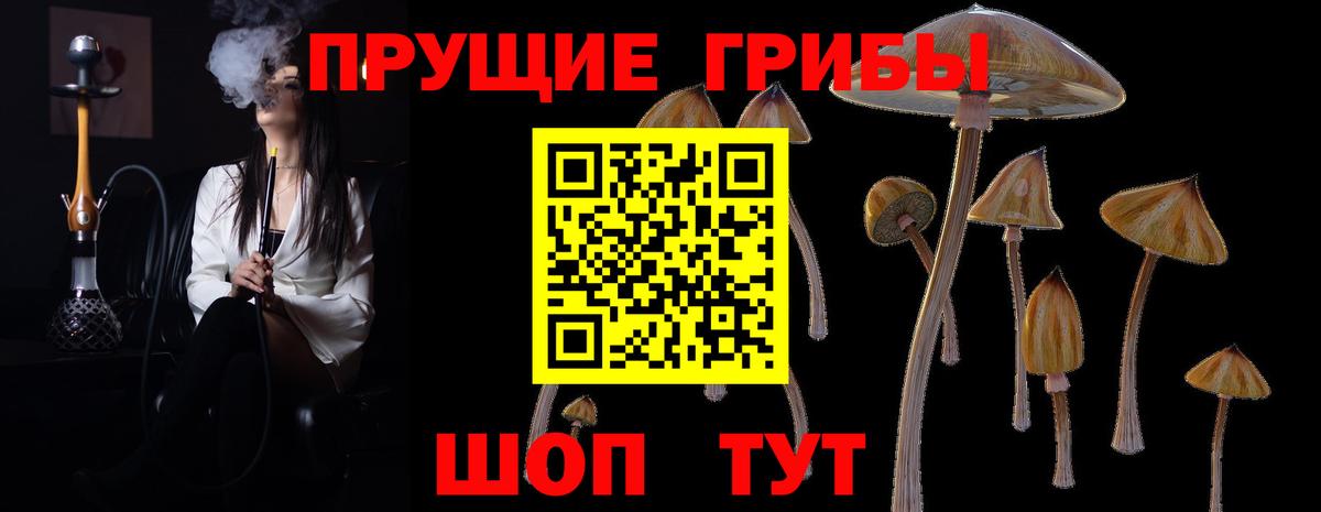 Псилоцибиновые грибы прущие грибы Соликамск